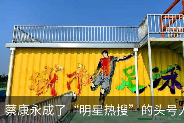 蔡康永成了“明星热搜”的头号人物，台独风波引发双岸网友争论